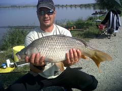 Doripesco 2013